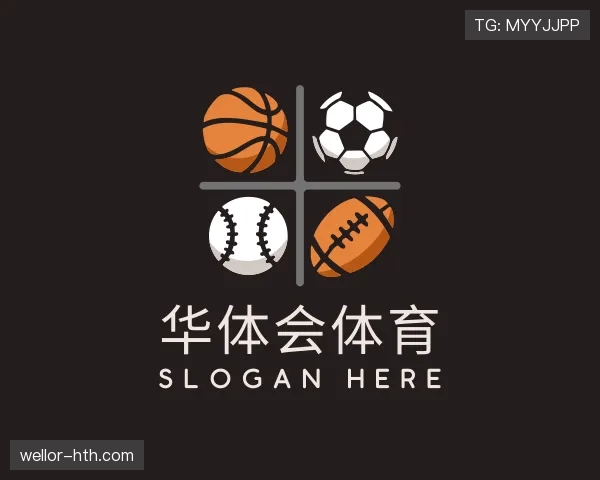 全览华体会官网